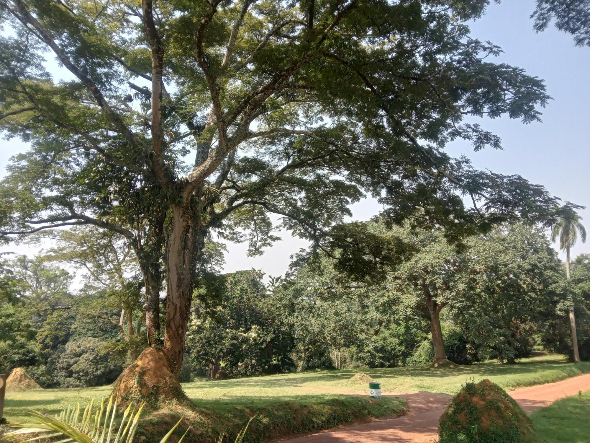 Mowicribs Hotel And Spa Entebbe Camera foto